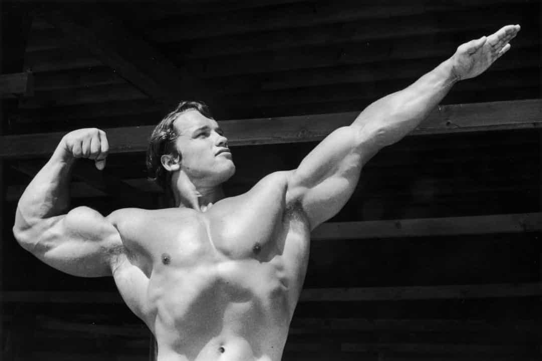 Cựu vô địch thể hình Arnold Schwarzenegger đã giành được nhiều danh hiệu trong thể thao và tiếp tục trở thành một diễn viên xuất sắc, và sau đó anh còn là một chính trị gia.  