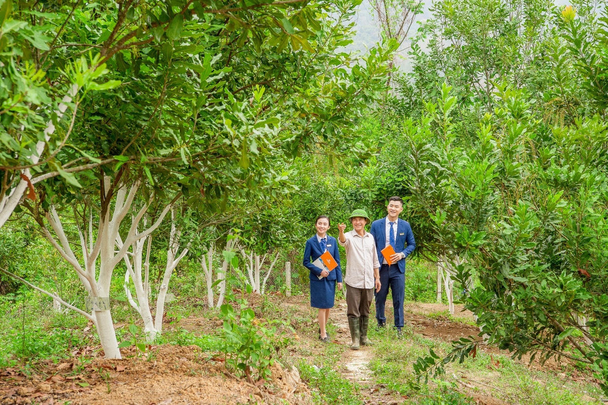 Nông nghiệp, bảo hiểm ‘chắp cánh’ thương hiệu LienVietPostBank