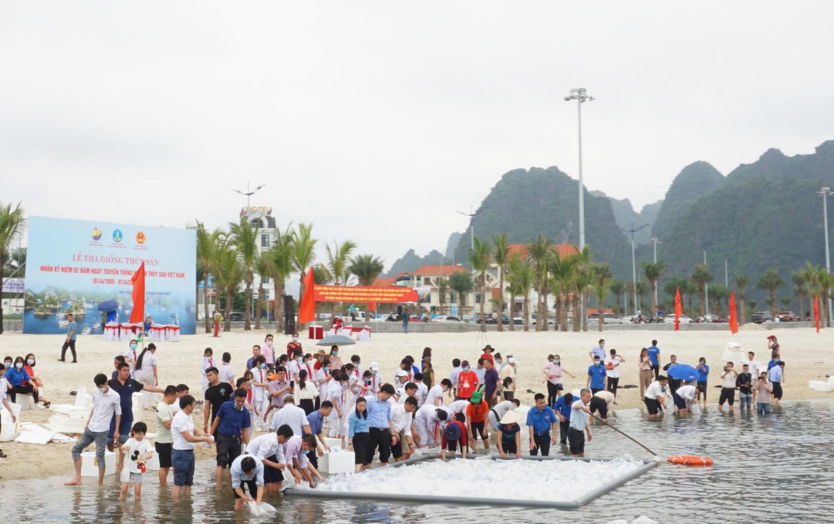  2,1 triệu giống thủy sản các loại được thả nhằm góp phần tái tạo nguồn lợi biển.