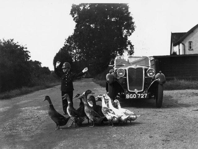 Cậu bé trong trang phục hóa trang thành cảnh sát giúp đàn ngỗng qua đường. Ảnh chụp năm 1934.  