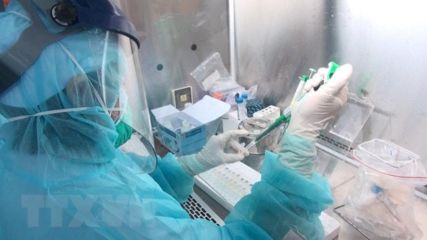 Lấy mẫu xét nghiệm virus SARS-CoV-2. (Ảnh: TTXVN/Vietnam+).