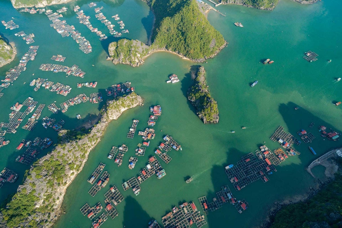 Vịnh Lan Hạ (Hải Phòng) là địa điểm du lịch hút khách trong thời gian gần đây.