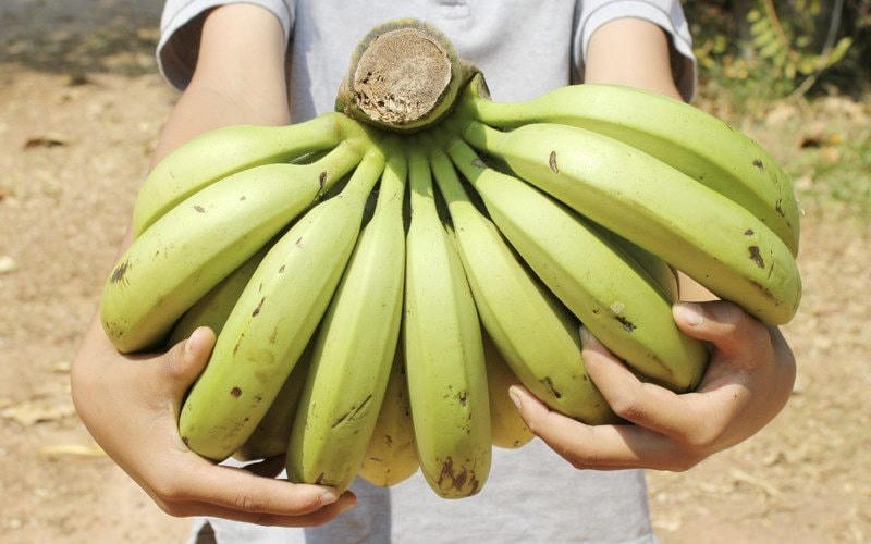 Cách làm các món ăn từ chuối chín ngon bổ dưỡng