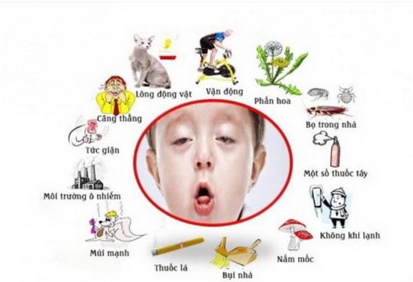 Một số yếu tố nguy cơ khởi phát cơn hen.