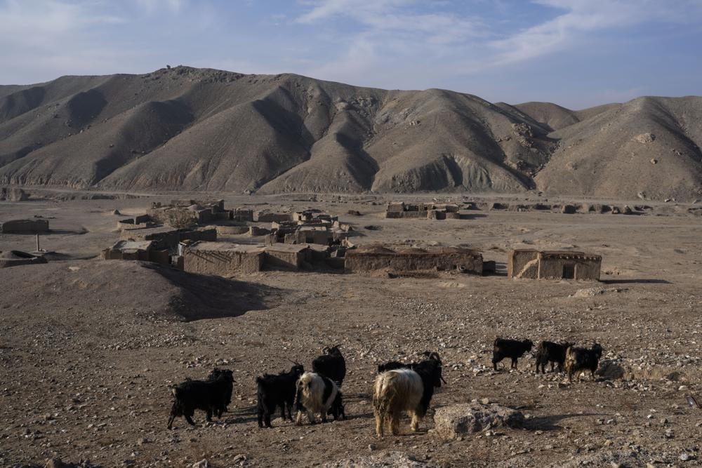 Biến đổi khí hậu có thể khiến hạn hán tại Afghanistan diễn ra thường xuyên và khốc liệt hơn. Ảnh: AP.