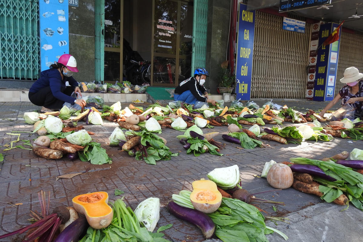 Rau, củ, quả  cung ứng cho người dân chủ yếu là bắp cải, rau cải, cà tím, cà rốt, bí đỏ, dưa chuột, cà chua, khoai tây. Ảnh Thanh Tùng