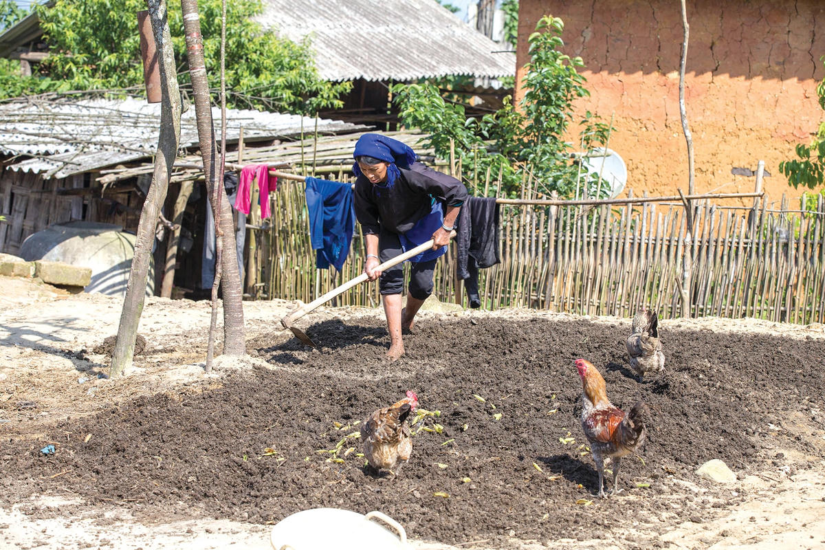 Phụ nữ Hà Nhì chăm chỉ làm việc.