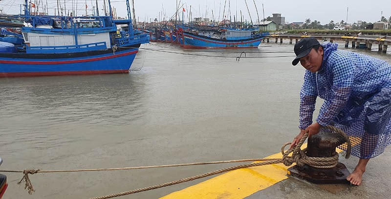 Ngư dân Phú Yên neo buộc tàu thuyền tránh bão.