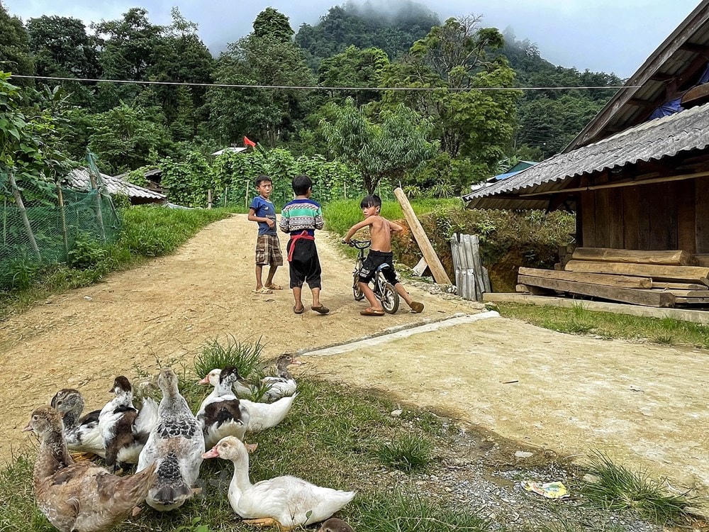 Vừa tranh thủ chăn vịt vừa rủ nhau đua xe, mặc dù 3 đứa chỉ có một chiếc xe còi. Ảnh: Mai Mai/Vietnam+.  