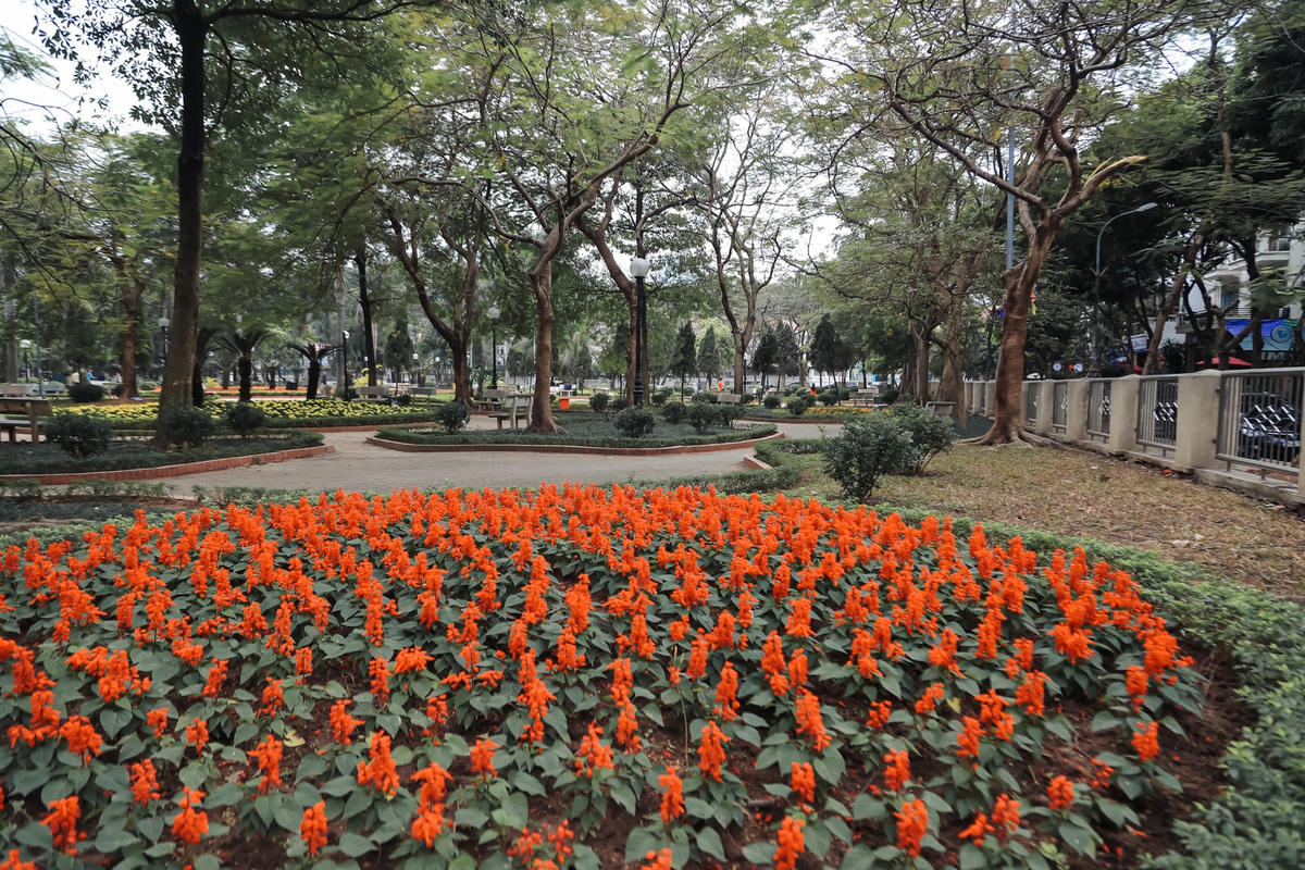 Cạnh tuyến phố Xuân Quỳnh là một công viên được trồng khá nhiều loại hoa, nơi vui chơi, tập thể dục của người dân sống quanh khu vực.