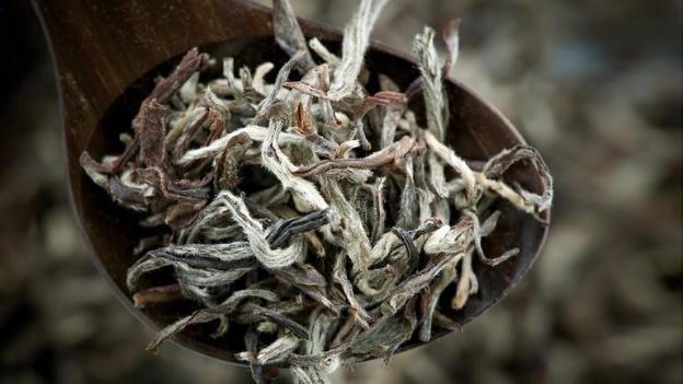 Uống trà tốt cho sức khỏe, tăng cường miễn dịch