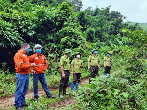 Phối hợp với Quỹ Bảo vệ và Phát triển rừng Thái Nguyên đi tham quan thực tế tại diện tích rừng trồng thay thế tại huyện Định Hóa, tỉnh Thái Nguyên.  