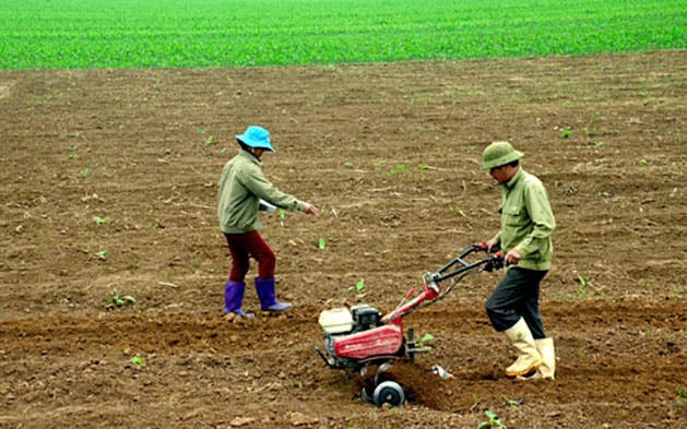 Cả nước hiện có khoảng 13 triệu ha đất canh tác nông nghiệp và khoảng 7.000 loại phân bón khác nhau đang được lưu thông.