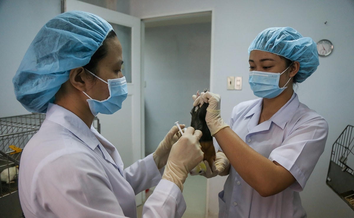 Thử nghiệm vaccine Covid-19 tại Việt Nam.