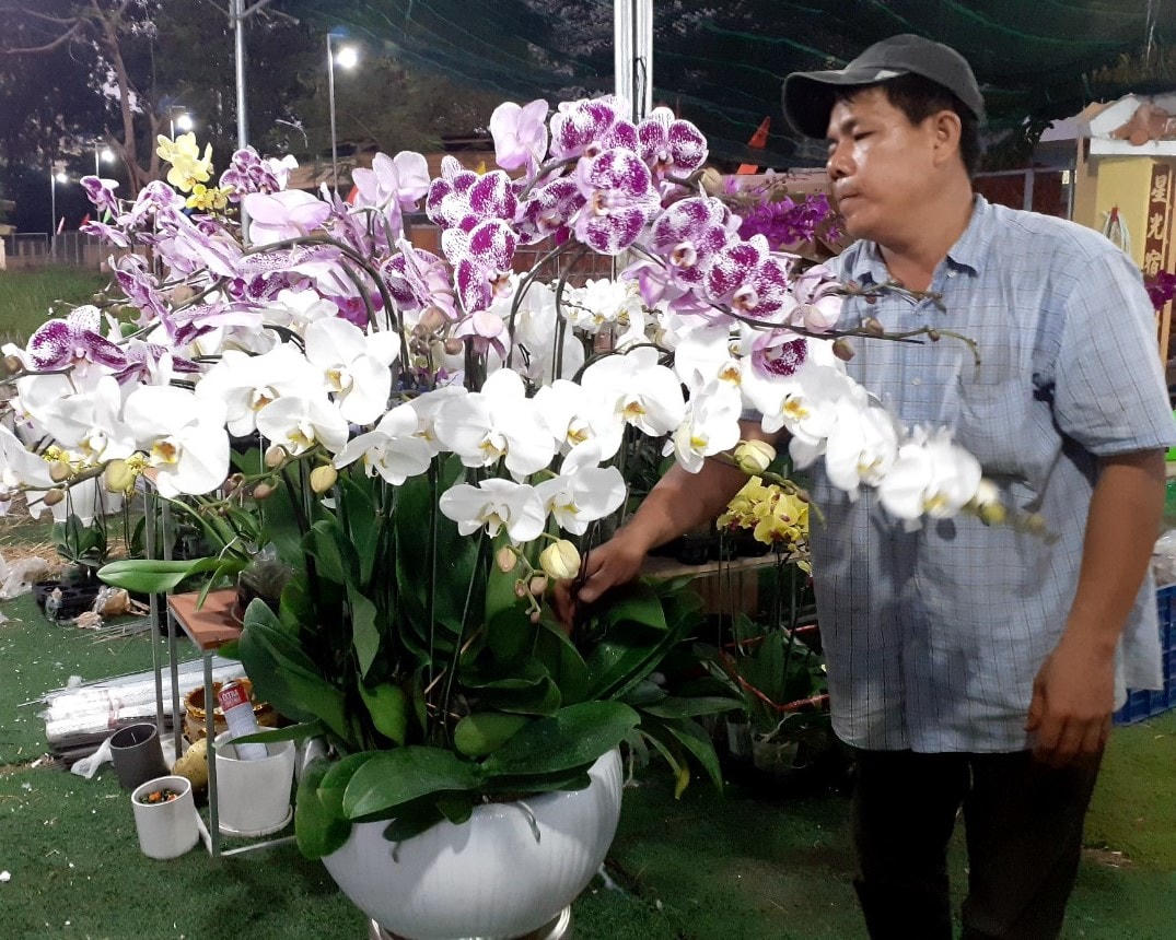 Những chậu lan được chăm sóc kỹ lưỡng tạo tính thẩm mỹ cao.