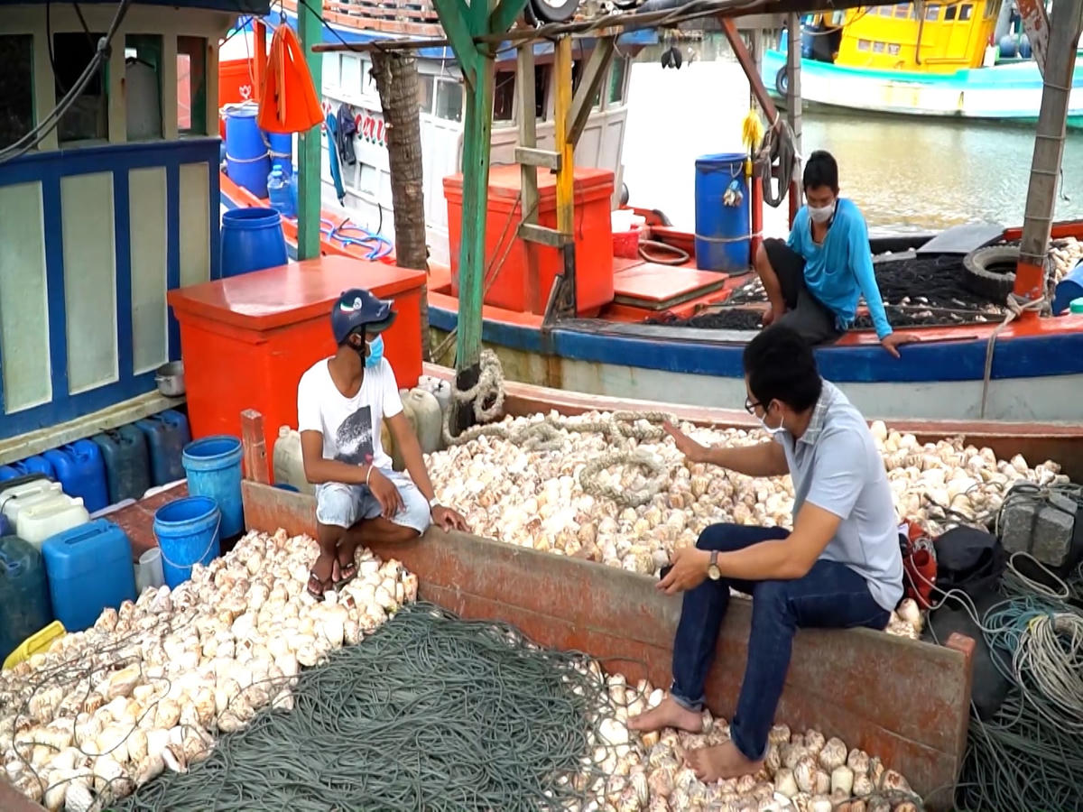 Ngư dân Cà Mà rất bức xúc vì nạn trộm vỏ ốc bẫy mực.