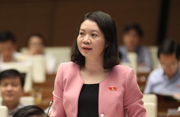 Bà Mai Thị Phương Hoa.
