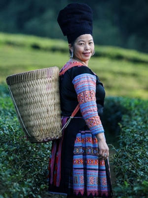 Kỳ vọng gửi vào lá phiếu
