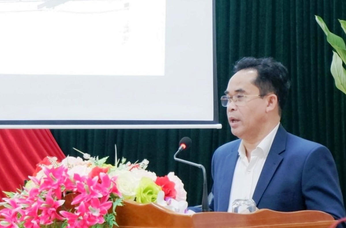 Ông Trần Anh Tuấn, Phó Chủ tịch UBND tỉnh Quảng Nam phát biểu tại hội thảo.