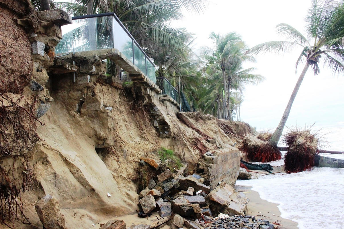 Nhiều bờ kè bằng đá, cây cối bị sạt lở xuống biển.