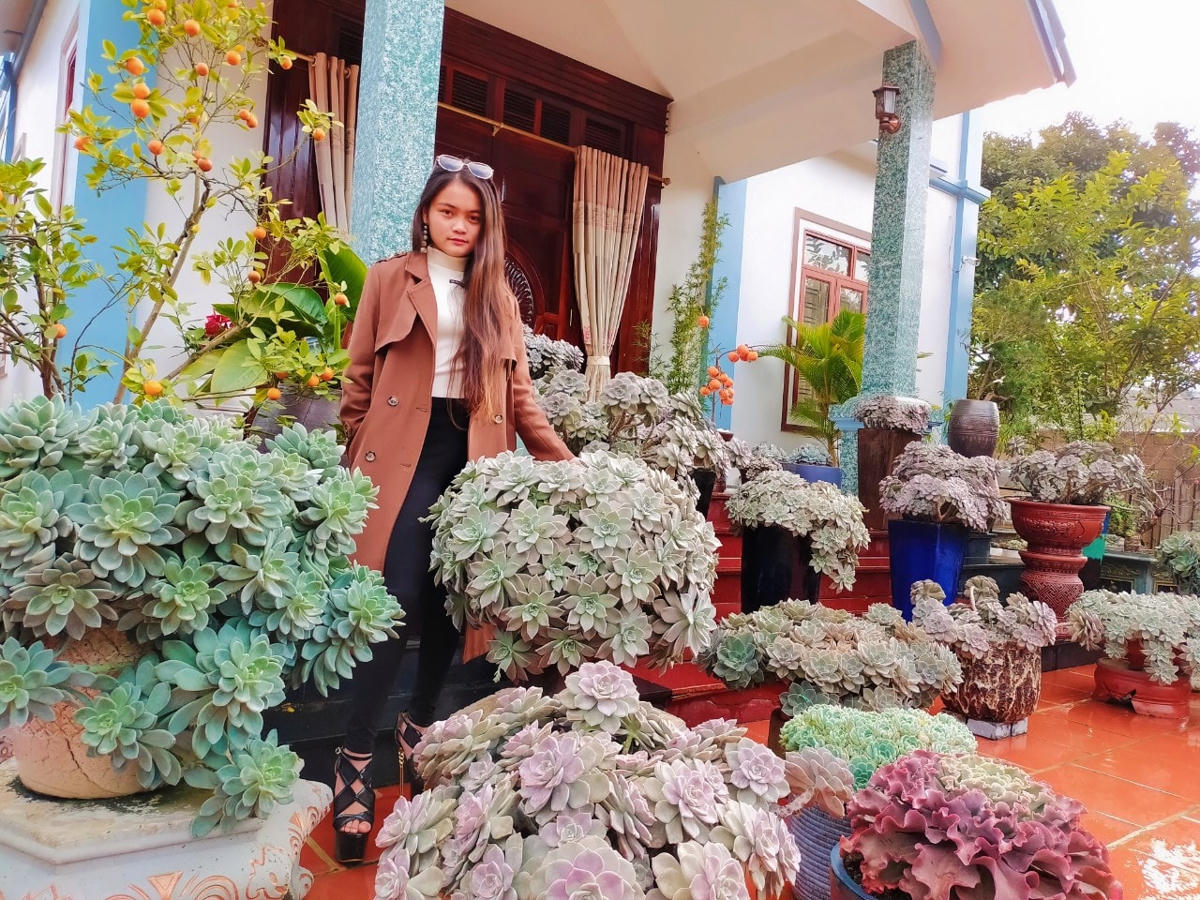 Những chậu sen đá gắn với tuổi thơ của Hằng, về món quà của bà nội. Ảnh: NVCC. 