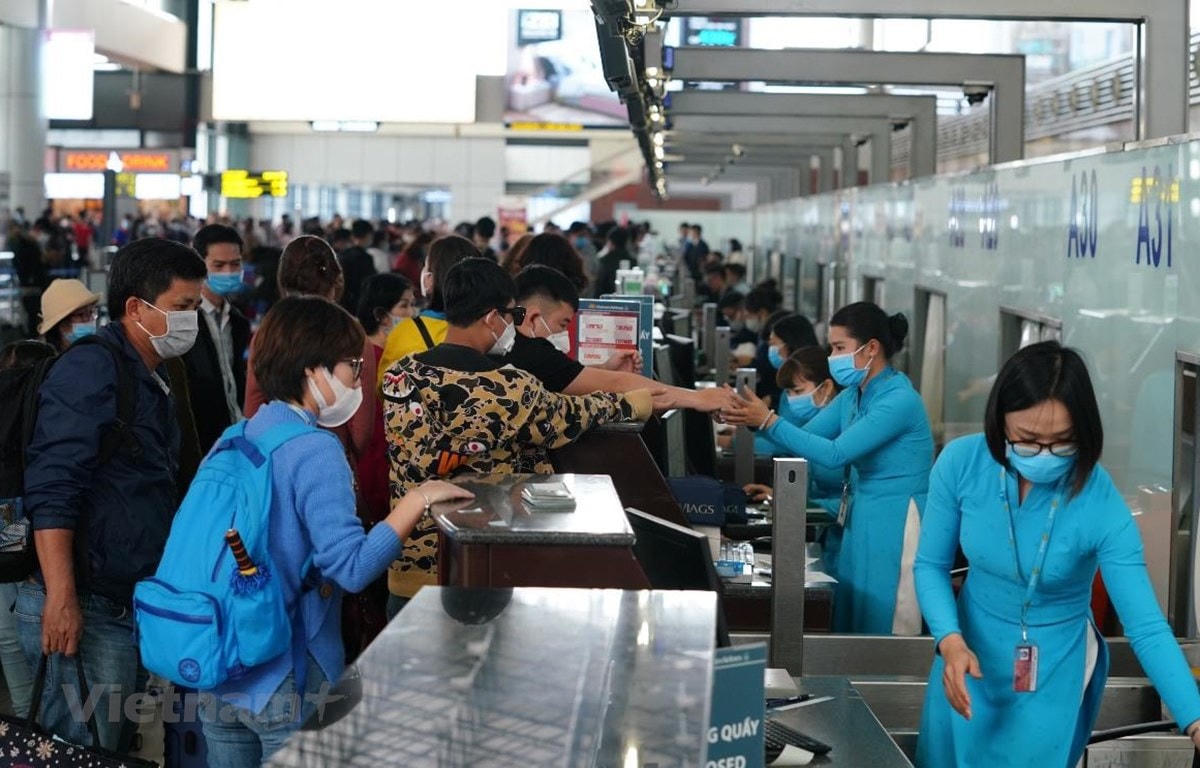 Số lượng khách đã đến và đang ở tại Đà Nẵng dự kiến đạt 80.000 hành khách. (Ảnh: Như Hà/Vietnam+).