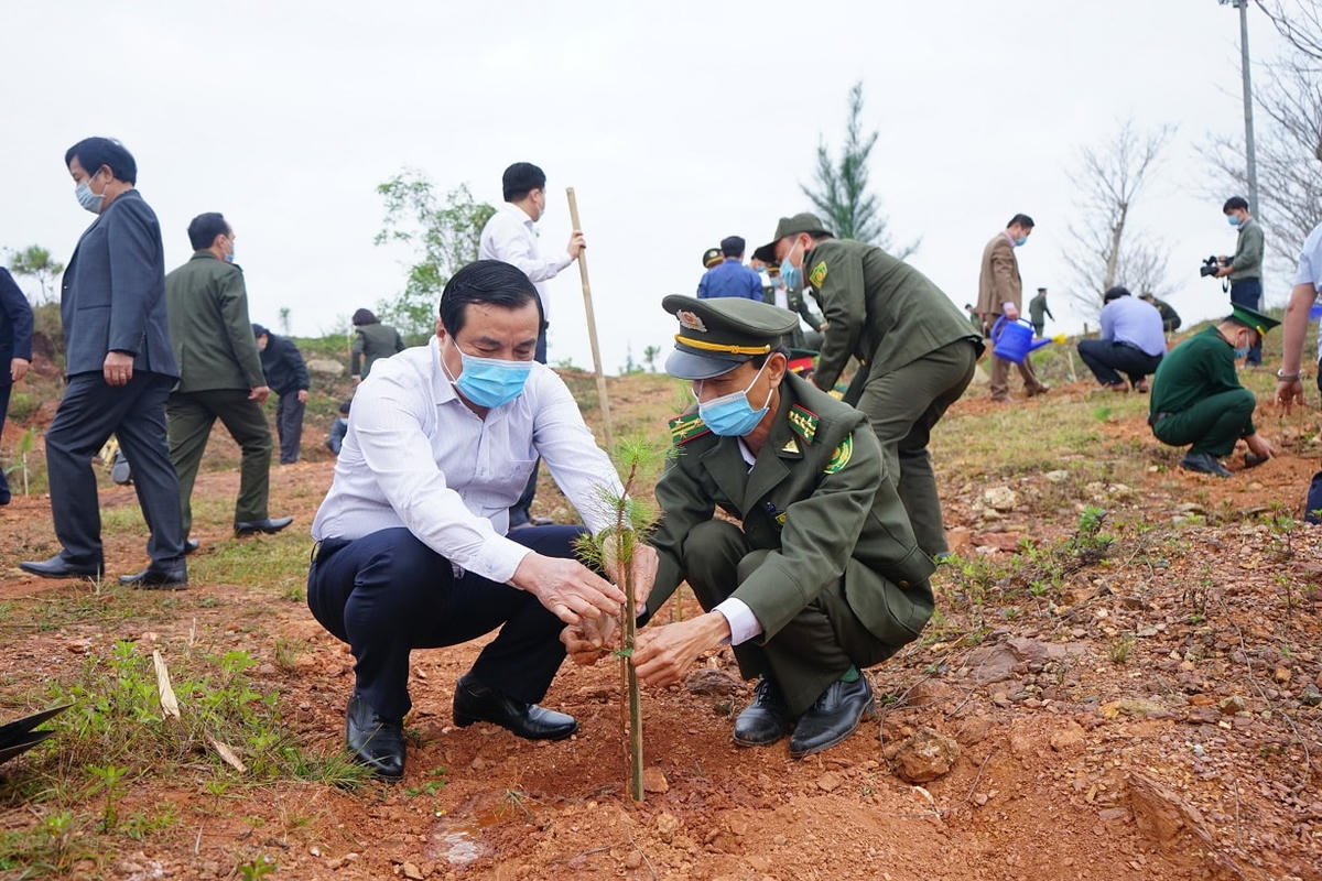 Bí thư Tỉnh ủy Quảng Nam Phan Việt Cường (áo trắng) trồng cây.