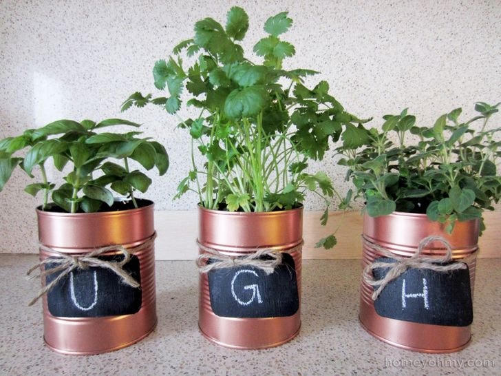 [ẢNH] 19 cách để trồng một khu vườn đẹp trong nhà của bạn