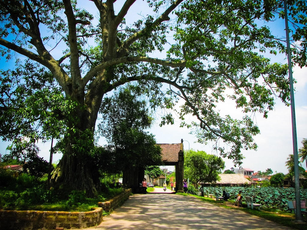 Cổng làng Đường Lâm (Hà Nội).
