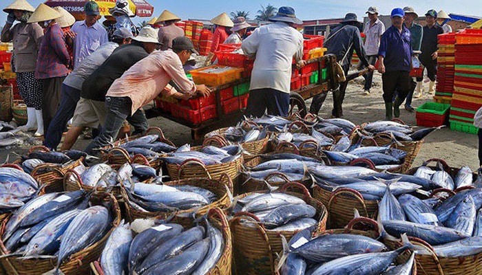 Am hiểu tâm lý tiêu dùng là thế mạnh trên sân nhà của doanh nghiệp nội.