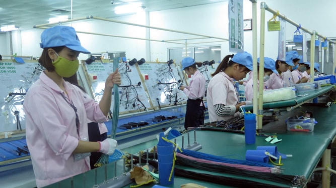 Nhiều người bị ảnh hưởng bởi dịch bệnh.