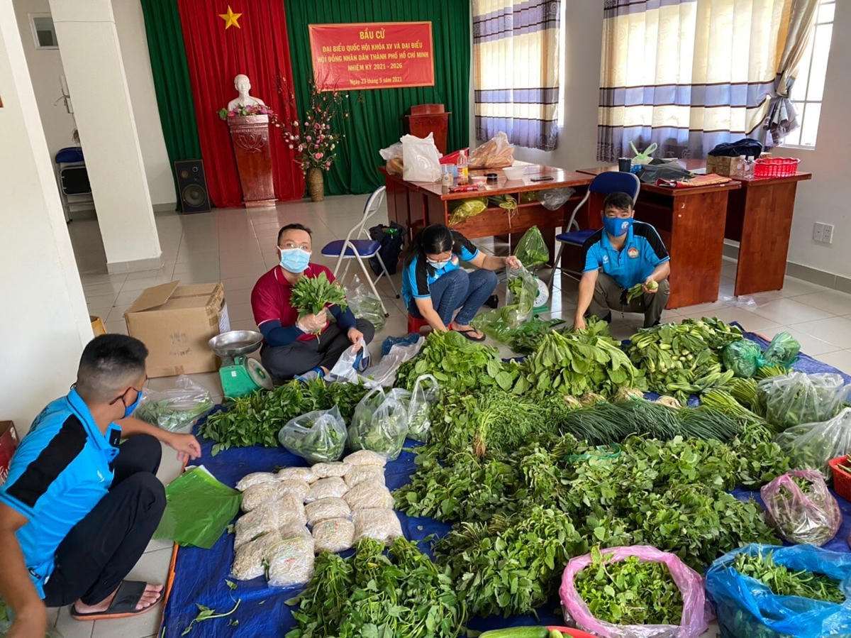 Một đội tình nguyện thanh niên phân phối rau, củ để chuyển đến bà con gặp khó khăn trên địa bàn TP HCM.