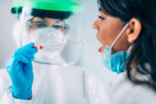 Phát hiện đột biến của virus Corona trên chồn có thể gây đại dịch mới