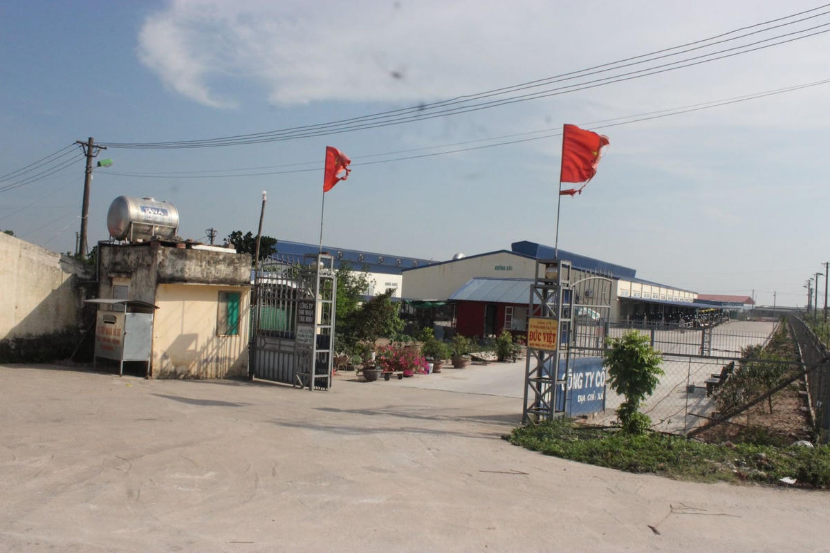 Nhà xưởng Công ty CP đóng tàu Đức Việt xây dựng trong hành lang bảo vệ đê sông Ninh Cơ.