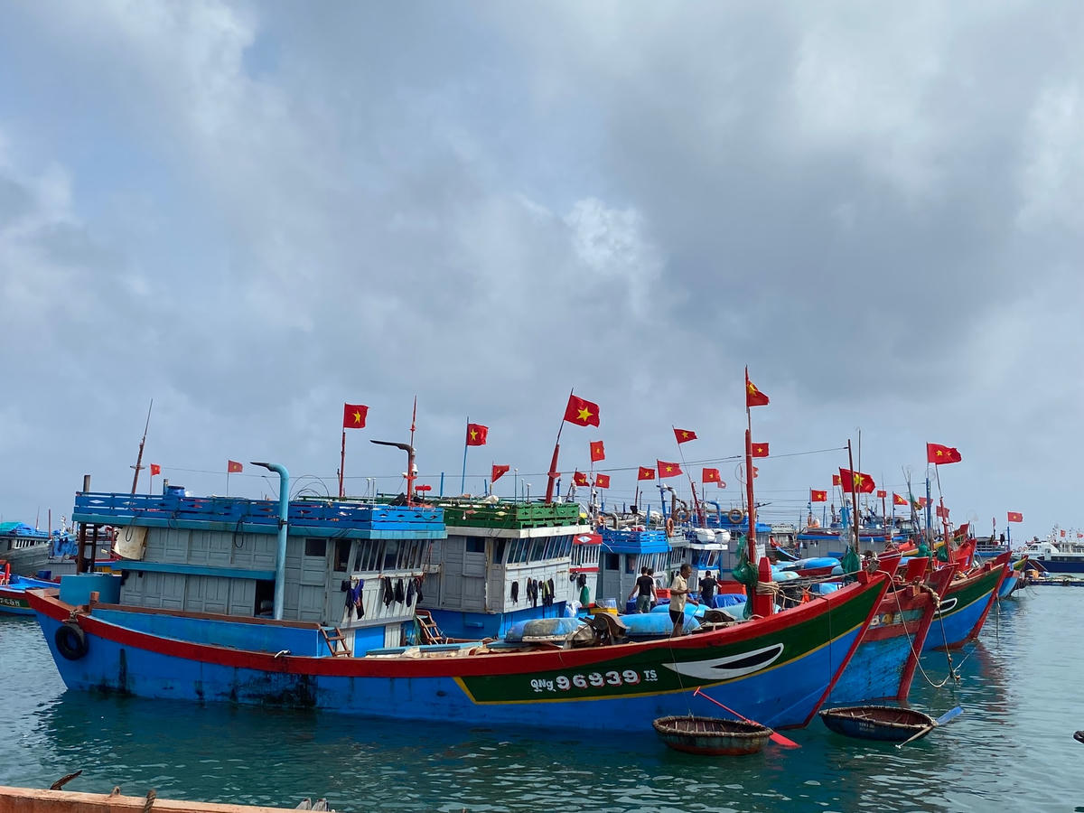 Tàu thuyền vào khu neo đậu Lý Sơn trú bão số 9 an toàn.