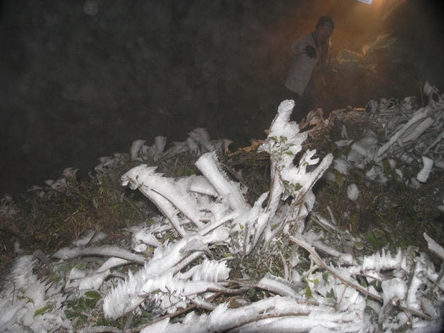 Sa Pa 'đông cứng' trong băng tuyết, đỉnh Khau Phạ cũng 'hóa đá'