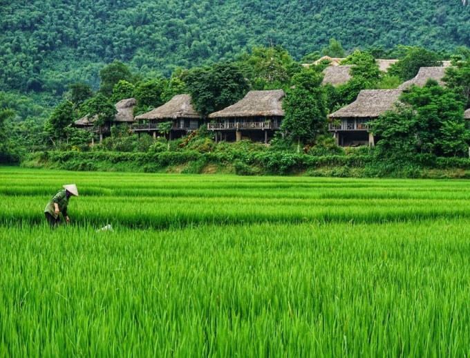Fanpage Mai Châu Ecolodge.