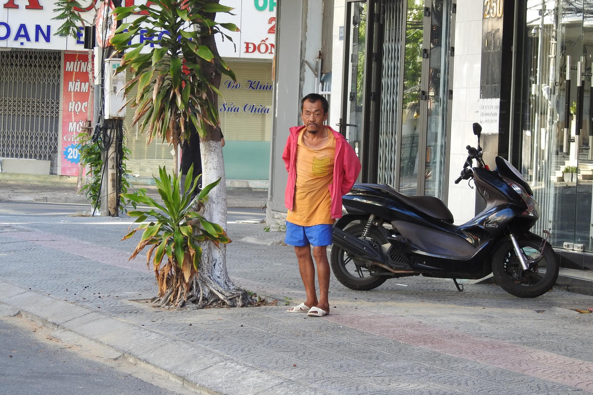 Vô tư đứng ngồi, di chuyển giữa đường phố không bóng người. Ảnh: Thanh Tùng.