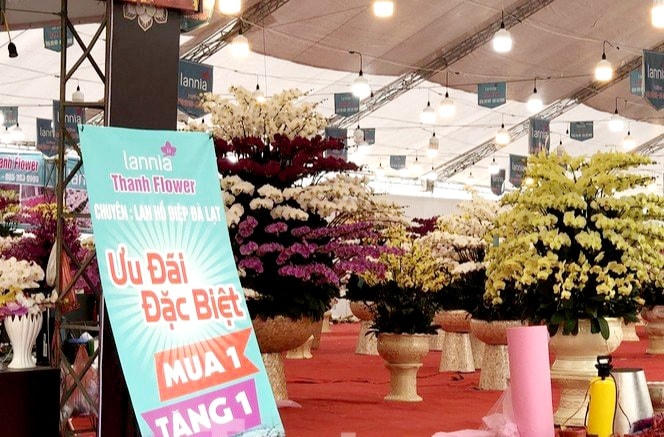 Cửa hàng kinh doanh hoa lan giảm giá “mua 1 tặng 1”.