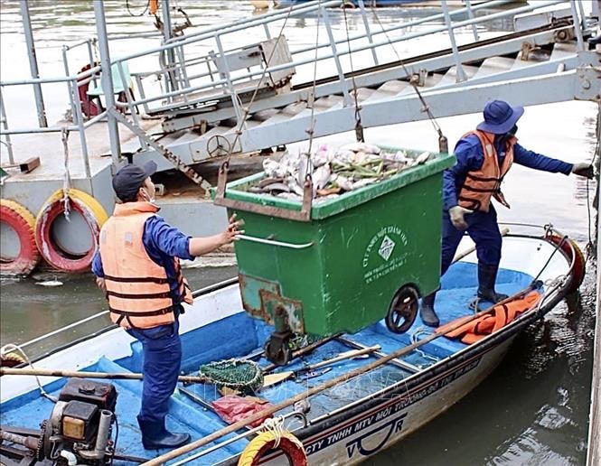 Công nhân vệ sinh thu gom xác cá.