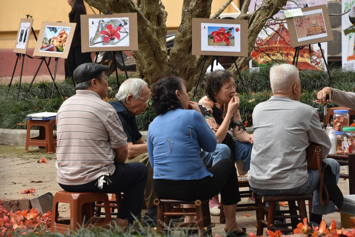 Bảo tàng Lịch sử quốc gia Việt Nam và Công ty Lữ hành Hanoitourist đã mở một tour du lịch đặc biệt với tên gọi “Bác Cổ - Mùa hoa gạo” để người dân được tham quan, chiêm ngưỡng và trải nghiệm. 