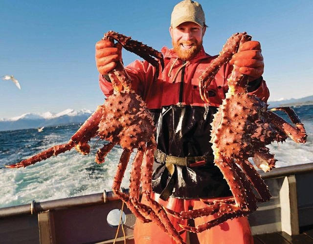 Cua hoàng đế Alaska được ví như món hải sản cực phẩm.  