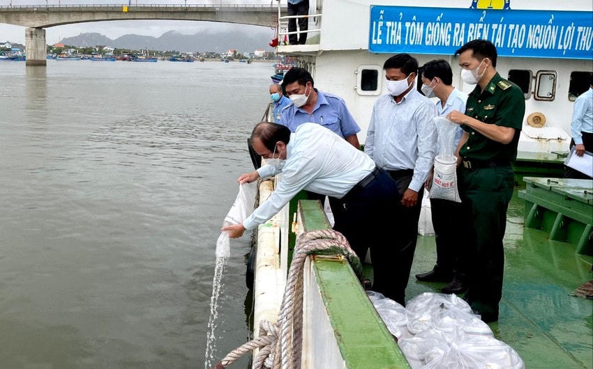 Thả con giống tôm sú tái tạo nguồn lợi thủy sản năm 2022 tại khu vực biển TP Tuy Hòa (Phú Yên).