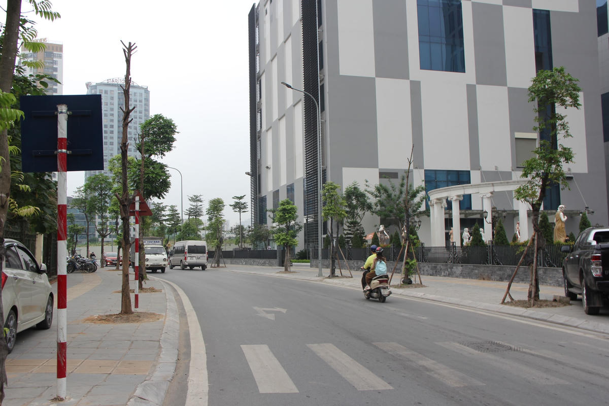 Một số cây xanh ngay cạnh cổng trụ sở một doanh nghiệp chết dần, chết mòn.