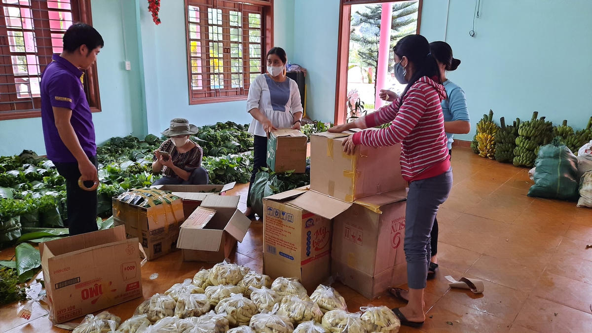 Cho rau, củ vào thùng để chuyển về xuôi ủng hộ vùng tâm dịch. Ảnh: Nguyễn Trần Vỹ.