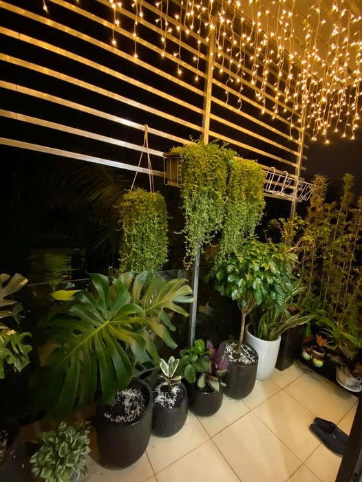 Diễn viên Hồng Đăng khoe công trình vườn nhà của hai vợ chồng, đây là nơi anh và vợ ngồi tâm sự mỗi cuối ngày dài làm việc.
