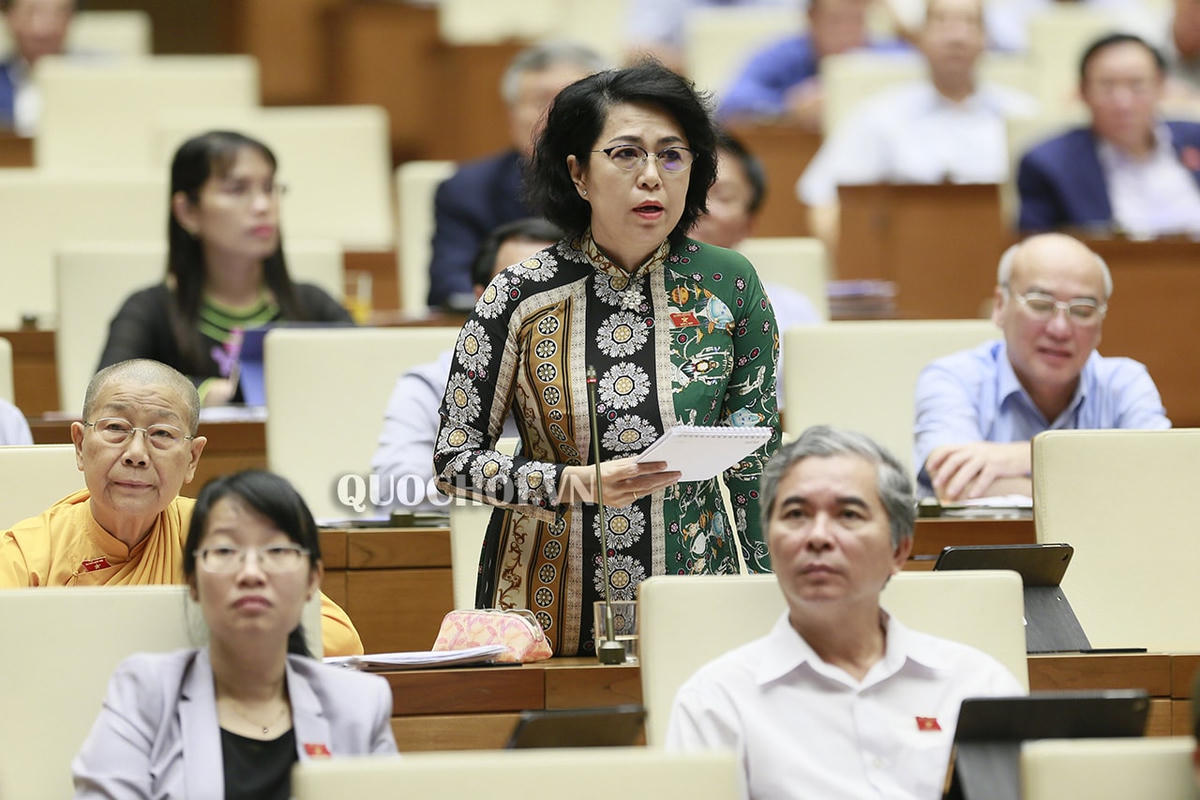 Đại biểu Tô Thị Bích Châu (TPHCM) phát biểu tại nghị trường Quốc hội khóa XIV. Ảnh: QuocHoi.VN.