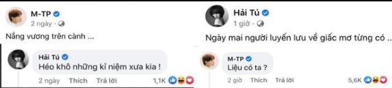Những bình luận được cho là "thả thính" của Sơn Tùng M-TP và Hải Tú. (Nguồn: Sưu tầm)