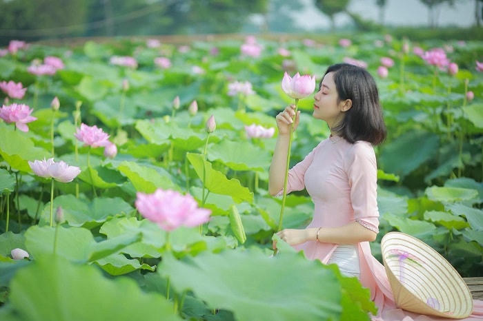 Bãi đá sông Hồng là điểm chụp ảnh hấp dẫn cho giới trẻ. Ảnh: FB Vườn hoa bãi đá sông Hồng.