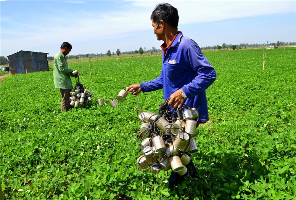 “Đồ nghề” săn bắt chuột.